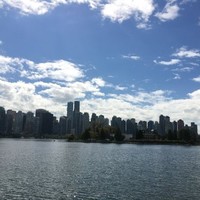 Vancouver Fashion Week Employee Xiping Wang's profile photo