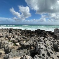 Events DC Employee Shawn Stokes's profile photo