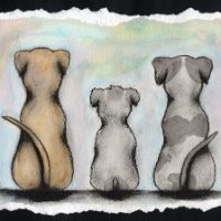 Justina Sleeper Email & Phone Number