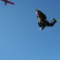 IVECO Employee Eva Pigliacelli's profile photo