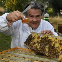 Beesdream Employee Charles Oudin's profile photo