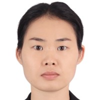 SID Technology Employee Ziying Wang's profile photo