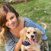 California State Association of Counties® Employee Danielle Bradley's profile photo