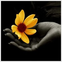 Atlanta Public Schools Employee Goldie Ramsay's profile photo