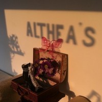 Althea's Ladies