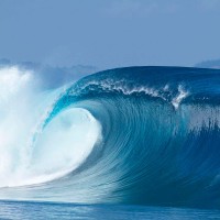 ST ELECTRONICS LTD Employee Randy Ray's profile photo