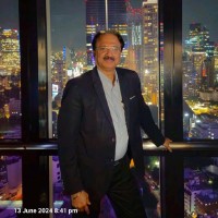 L&T Energy-CarbonLite Solutions Employee Satish Palekar's profile photo