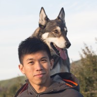 Widagdo Setiawan Email & Phone Number