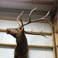 BJ Rees's Enterprise Employee Derrick Porter's profile photo