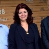 Vertex Engineering Employee Nermeen Hammouda's profile photo