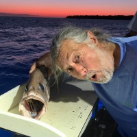 Self-employed Employee Bob Waldie's profile photo
