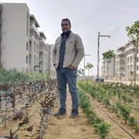 Greenview Employee Ahmed El-Saeed's profile photo