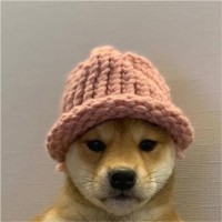 CodeCanyons.net - Buy Plugin, Scripts & Application Employee Jeffrey Jola's profile photo