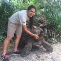 Giselle A. Herrera Email & Phone Number