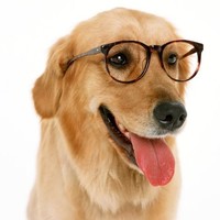 CGM Interactive Employee Parker Marlowe's profile photo