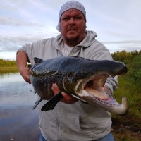 Hepacon Oy Employee Jani Tick's profile photo