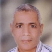 Nile Sugar Employee Waheed Abu El Ella's profile photo