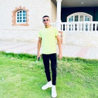 Amir Kamel Email