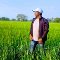 PROJECTION Employee Goutam Parmar's profile photo
