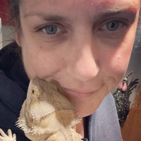 Sarah Wall Email & Phone Number