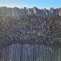 Wiley Baxter Email & Phone Number