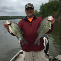 John Hafner