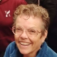 Young Living Essential Oils Independent Distributor Employee Carol Tapintooils's profile photo