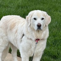 Dow Employee Brad Dawson's profile photo