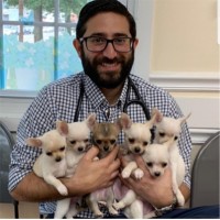 Joseph Silverman Email & Phone Number