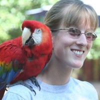 Katie Anderson Email & Phone Number