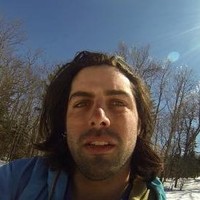 David Scherl Email & Phone Number