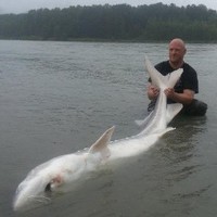 Westshore Terminals LTD Partnership Employee Jason Wittstruck's profile photo