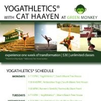 Green Monkey Employee Cat Haayen's profile photo