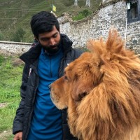 Jithin Vijayan Email