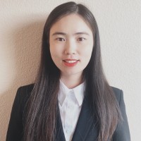 ProVision, PLC Employee Yifang Chen's profile photo