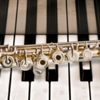Musik Employee Annette Peters's profile photo