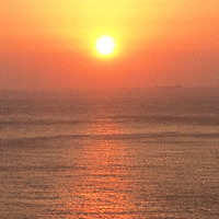 Damon Liu's profile photo