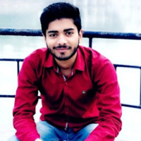 Lemonade Employee Mehul Mishra's profile photo