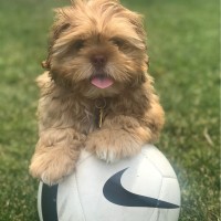 Menasha Joint School District Employee Peter LaCourse's profile photo