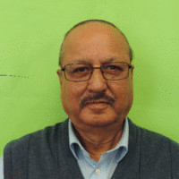 Noman Siddiqi Email & Phone Number