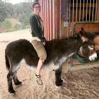 PUEBLO COUNTY SCHOOL DISTRICT 70 Employee Kristen Fournier's profile photo