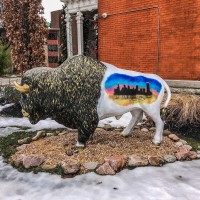 WTS, Inc. Employee Paul Ameis's profile photo