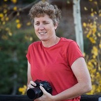 Tammy Mayer Email & Phone Number