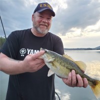 Bill Pierson Email & Phone Number
