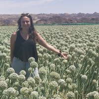 Certipaq Employee Cécile Vierling's profile photo