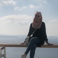Majd Jabr's profile photo