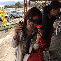 达飞轮船 Employee Vicky Gu's profile photo