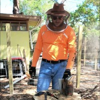 Green Acres Honey and Eggs Employee Jesse Cox's profile photo