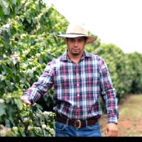 Alexandre Borges Email & Phone Number