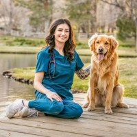 Julia Stead Email & Phone Number